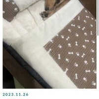画像242