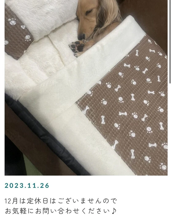画像242
