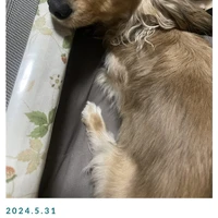 画像254