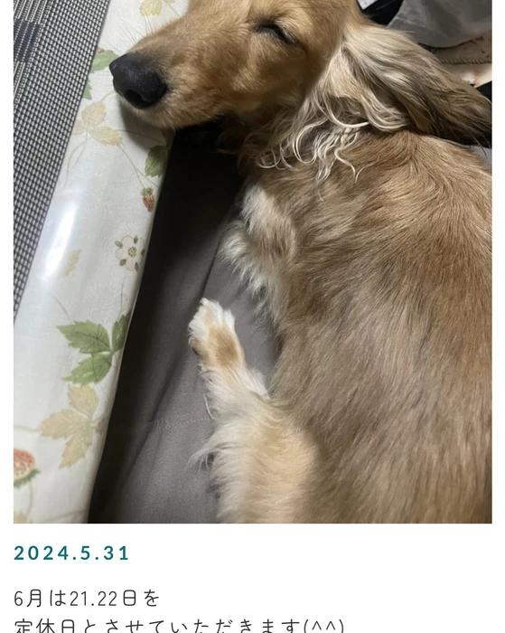 画像254
