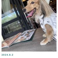 画像258